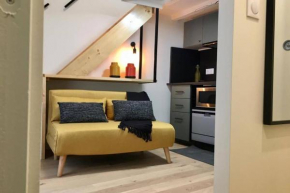 Charming studio Michel Lecomte Paris 75003